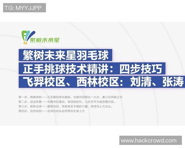 成都羽毛球队的阵地战揭秘：深度解析羽毛球的战术与技巧