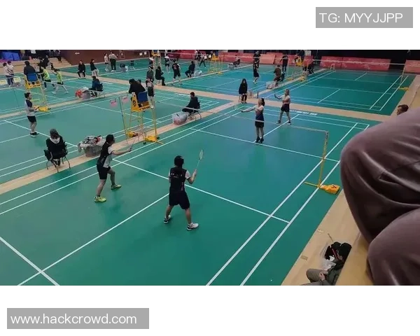 杭州羽毛球队挑战赛表现分析与状态评估全面解读
