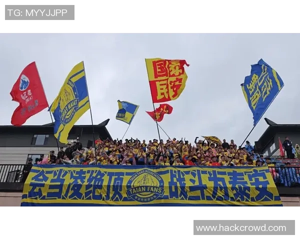 足球明星专属区域揭秘球迷心中的梦想圣地与荣耀时刻