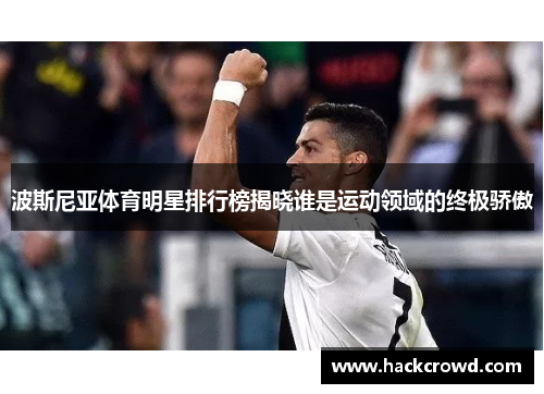 波斯尼亚体育明星排行榜揭晓谁是运动领域的终极骄傲